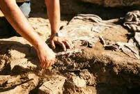 اشتباه بزرگ دانشمندان در شناسایی قدیمی‌ترین جانوران زمین