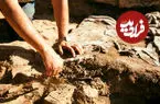 اشتباه بزرگ دانشمندان در شناسایی قدیمی‌ترین جانوران زمین