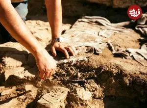 اشتباه بزرگ دانشمندان در شناسایی قدیمی‌ترین جانوران زمین