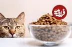 چک‌لیست طلایی انتخاب رژیم غذایی مناسب برای گربه خانگی