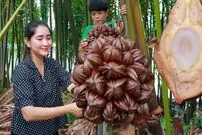 (ویدئو) عجیب ترین میوه جهان؛ غول پیکر با مغز ژله ای!