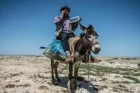 (ویدئو) ابتکار یک شهروند برای شارژ گوشی به کمک یک الاغ