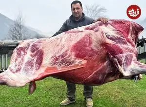 ببینید| غذای روستایی در آذربایجان؛ کباب کردن گاو کامل در طبیعت