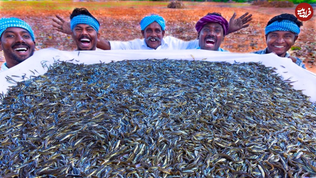 ببینید؛ غذای روستایی در هند؛ پخت خورشت با هزاران ماهی ریز رودخانه ای