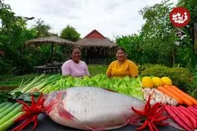 ببینید| غذای روستایی در سنگاپور؛ کباب کردن ماهی در تنور گِلی دست ساز در طبیعت