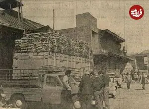 سفر به تهران قدیم؛ نرخ میوه و تره‌بار نوروز تهران در نیم قرن پیش