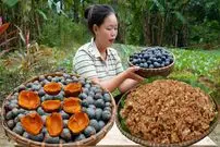 ببینید| غذای روستایی در ویتنام؛ برداشت پالم و تهیه غذا با آن