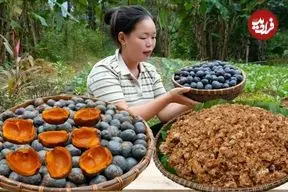 ببینید| غذای روستایی در ویتنام؛ برداشت پالم و تهیه غذا با آن