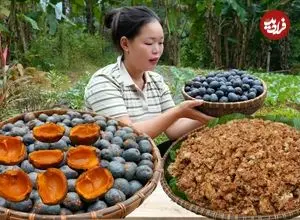 ببینید| غذای روستایی در ویتنام؛ برداشت پالم و تهیه غذا با آن