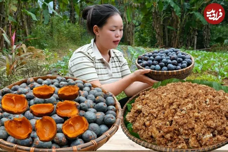 ببینید| غذای روستایی در ویتنام؛ برداشت پالم و تهیه غذا با آن