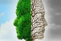 چه فصلی مغز ما بهتر کار می‌کند؟
