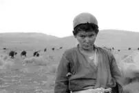 عکس| سفر زمان؛ سه پسر نوجوان چوپان ایرانی در طبیعت؛ سال 1313