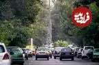 عکس| سفر به تهران قدیم؛ «بوقلمون‌چرانی» در خیابان فلسطین؛ دهه 40