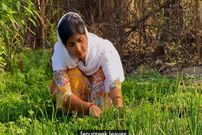 ببینید؛ غذای روستایی در هند؛ پخت یک غذای محلی با عدس، سیب زمینی و ماست