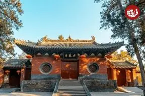 ببینید؛ اجرای «نسخه جاده‌ای معبد شائولین»  توسط یک راننده تریلی! 