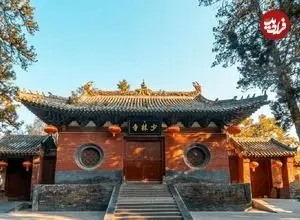 ببینید؛ اجرای «نسخه جاده‌ای معبد شائولین»  توسط یک راننده تریلی! 