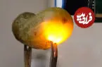عکس| چرا خیارشور هنگام اتصال به برق شروع به درخشیدن می‌کند؟