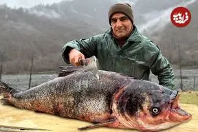 ببینید| غذای روستایی در آذربایجان؛ کباب کردن ماهی بزرگ پر شده در تنور زیر زمینی