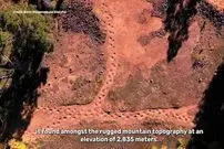 ببینید؛ کشف سریع‌ترین دایناسور تاریخ