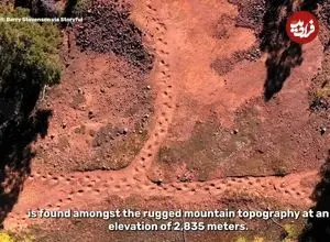 ببینید؛ کشف سریع‌ترین دایناسور تاریخ