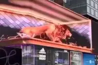 ( ویدیو) نصب بنر تبلیغاتی ترسناک شیر درنده وسط خیابان