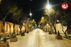 عکس| سفر زمان؛ تصویری از یک خیابان زیبا در شیراز در دوران قاجار