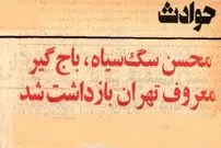 عکس| سفر به تهران قدیم؛ معروفترین باج‌گیر تهران دستگیر شد! 