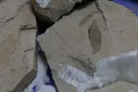 فسیل ترسناک‌ترین جانور دریایی در چین کشف شد