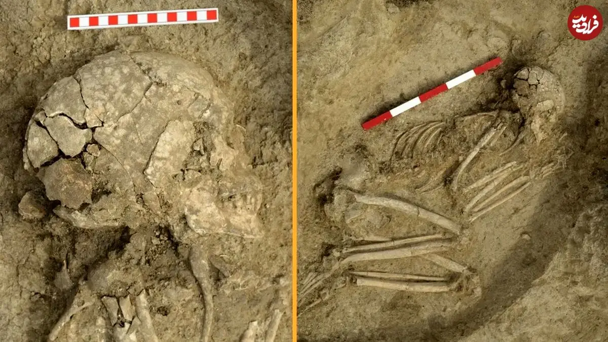 کشف اسکلت نوجوانی که 6 هزار سال قبل مورد حملۀ «شیر» قرار گرفت
