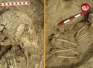 کشف اسکلت نوجوانی که 6 هزار سال قبل مورد حملۀ «شیر» قرار گرفت