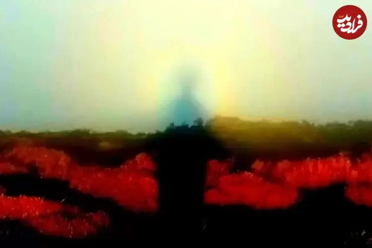 شبحی در میان ابرهای جنگل ابر شاهرود؛ پدیده نادر «بروکن» چگونه شکل می ‌گیرد؟
