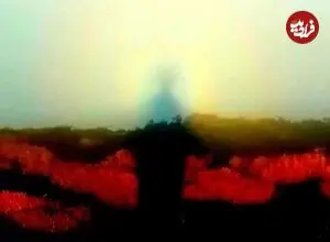 شبحی در میان ابرهای جنگل ابر شاهرود؛ پدیده نادر «بروکن» چگونه شکل می ‌گیرد؟