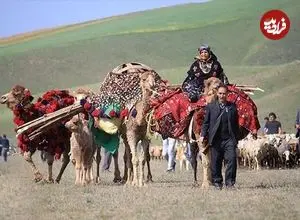 ماجرای یک مهاجرت شگفت ‌انگیز | پای بختیاری ها به یونسکو باز می‌شود