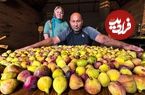 ببینید؛ غذای روستایی در روسیه؛ برداشت انجیر و تهیه مربا با آن توسط زوج داغستانی
