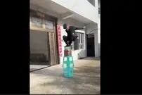 (ویدئو) آمادگی جسمانی این پیرمرد چینی شما را شوکه می کند!