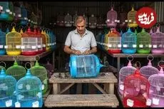 ببینید| فرآیند تولید انبوه قفس پرنده در کارگاهی در پاکستان