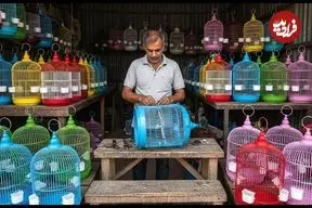 ببینید| فرآیند تولید انبوه قفس پرنده در کارگاهی در پاکستان