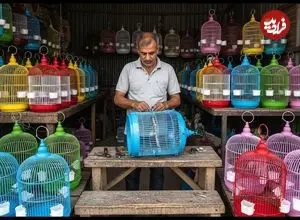 ببینید| فرآیند تولید انبوه قفس پرنده در کارگاهی در پاکستان