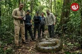 کشف آناکوندای ۷.۵ متری هنگام ساخت یک مستند با حضور بازیگر مشهور