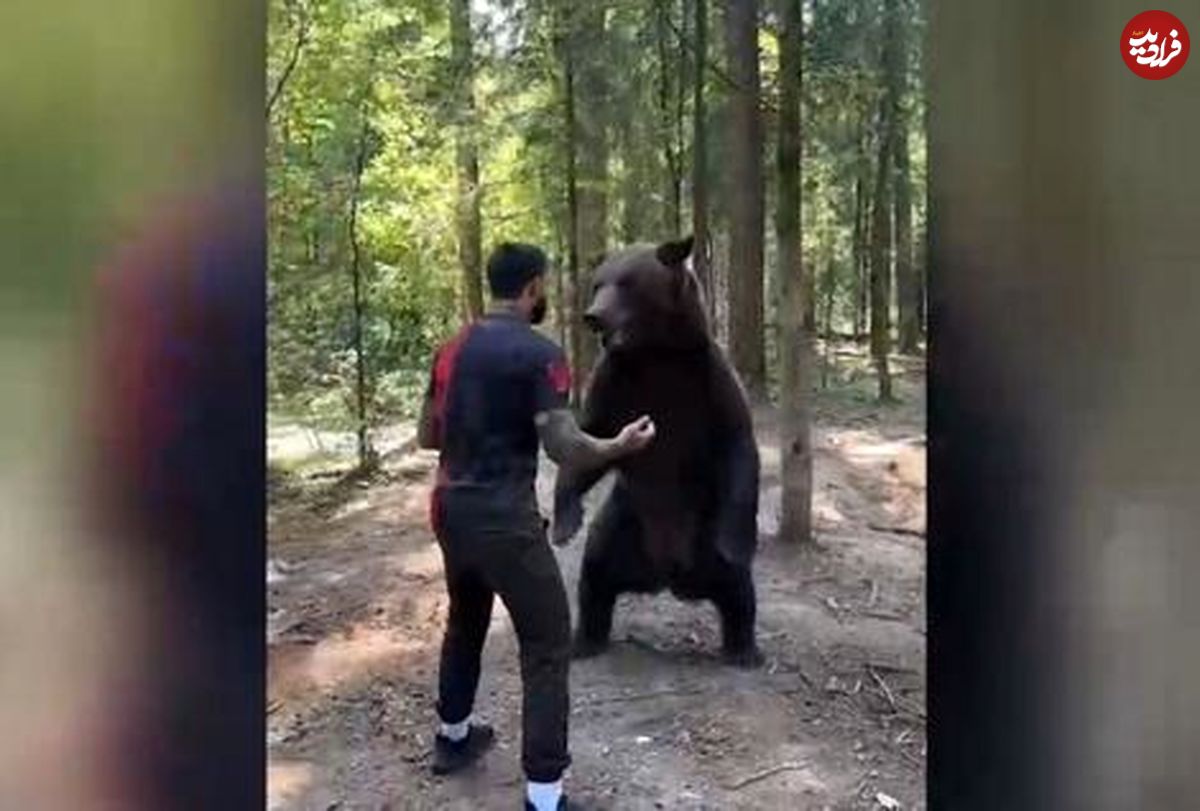  (ویدیو) کشتی گرفتن یک روس با خرس قهوه‌ای