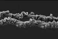 شاهکارهای عکاسی که برندۀ جایزه شدند؛ از «تار عنکبوت» تا «پروانه‌ای شبیه مار»