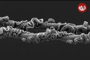 شاهکارهای عکاسی که برندۀ جایزه شدند؛ از «تار عنکبوت» تا «پروانه‌ای شبیه مار»