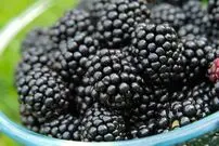 برای تقویت لثه مصرف این میوه را فراموش نکنید!