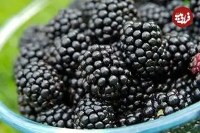 برای تقویت لثه مصرف این میوه را فراموش نکنید!