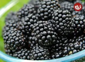 برای تقویت لثه مصرف این میوه را فراموش نکنید!