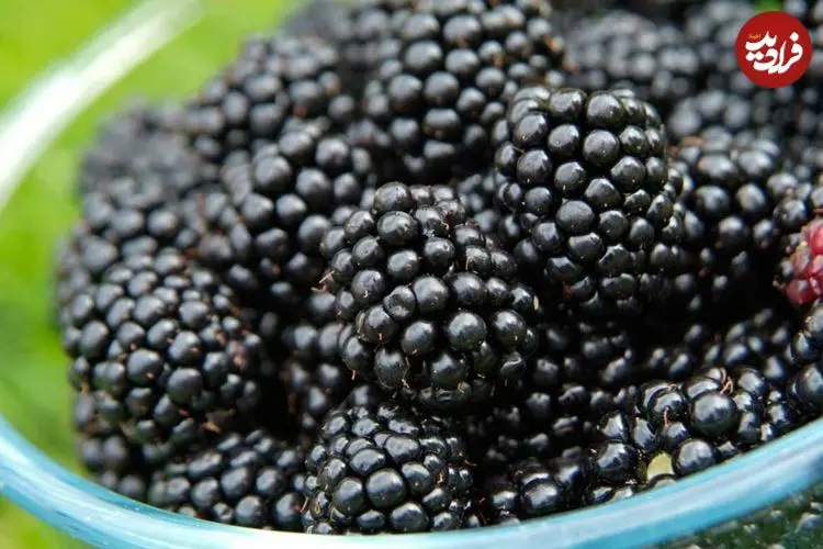 برای تقویت لثه مصرف این میوه را فراموش نکنید!