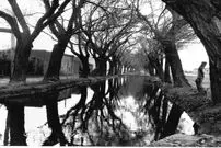 خانه‌ها جای باغ‌های انگور را گرفت