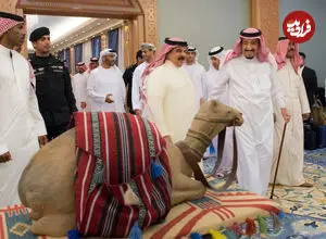 عکس| سفر زمان؛ پادشاه عربستان و  حاکم بحرین در حال خوردن یک شتر کامل؛ سال 1326