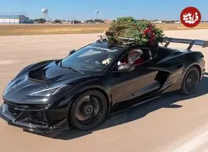 تصاویر؛ حمل درخت کریسمس با سرعت ۳۱۲ کیلومتر!