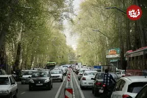 عکس| سفر به تهران قدیم؛ «خیابان ولیعصر» و خودروهای کلاسیک پارک شده در آن؛ سال 1338